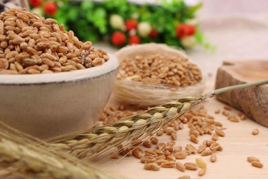 <b>硒含量高的米面谷豆有哪些?含硒量高米面七大排行</b>