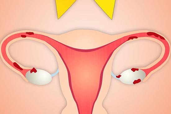 �ӹ�������ʲô