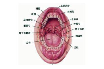 ��ǻ�����ԭ��