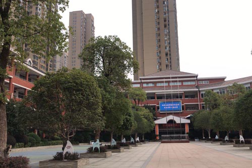 ��ɳ��ʮ��Сѧ