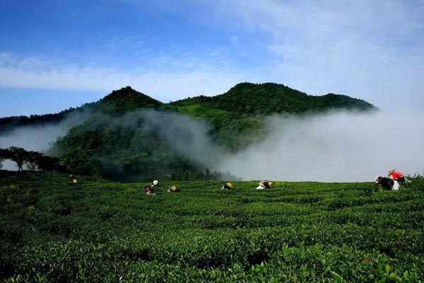 ����ʮ�������ĵط�