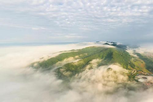 ����ʮ����������