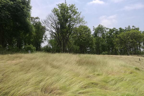 ��ɳʮ�����ӹ��͵�