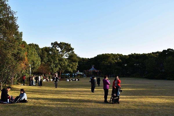 ��ɳʮ�����ӹ��͵�