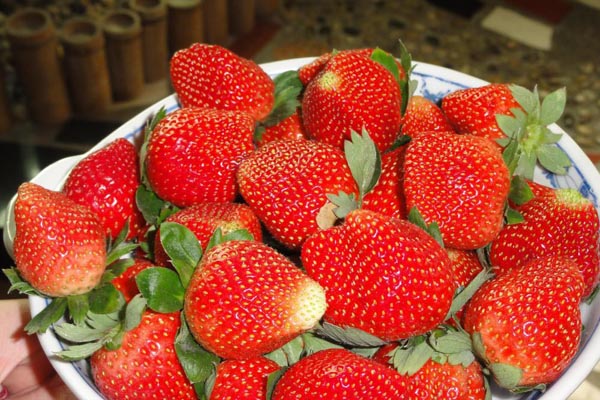 ��ɳʮ�����ӹ��͵�