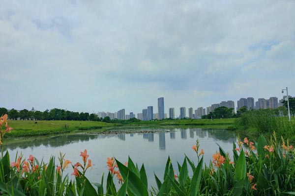 ��ɳʮ����������