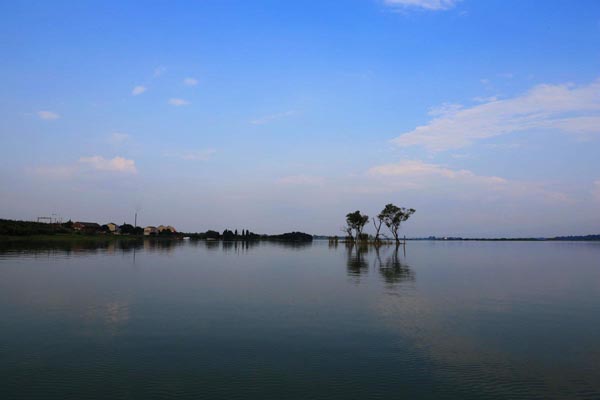 ��ɳʮ����������