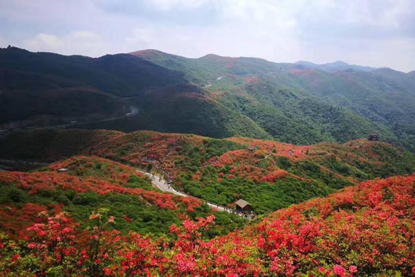 ��ɳʮ����������