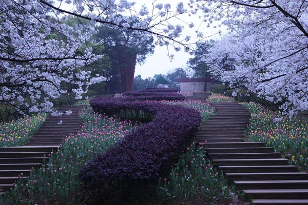 ��ɳʮ����������